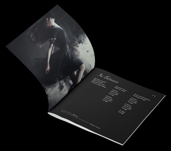 Quantum Loop Digital Book